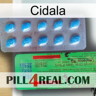 Cidala new03